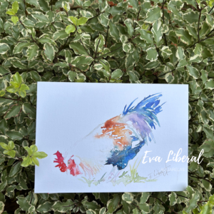 lamina-gallo-blanco-azul-acuarelas-eva-liberal